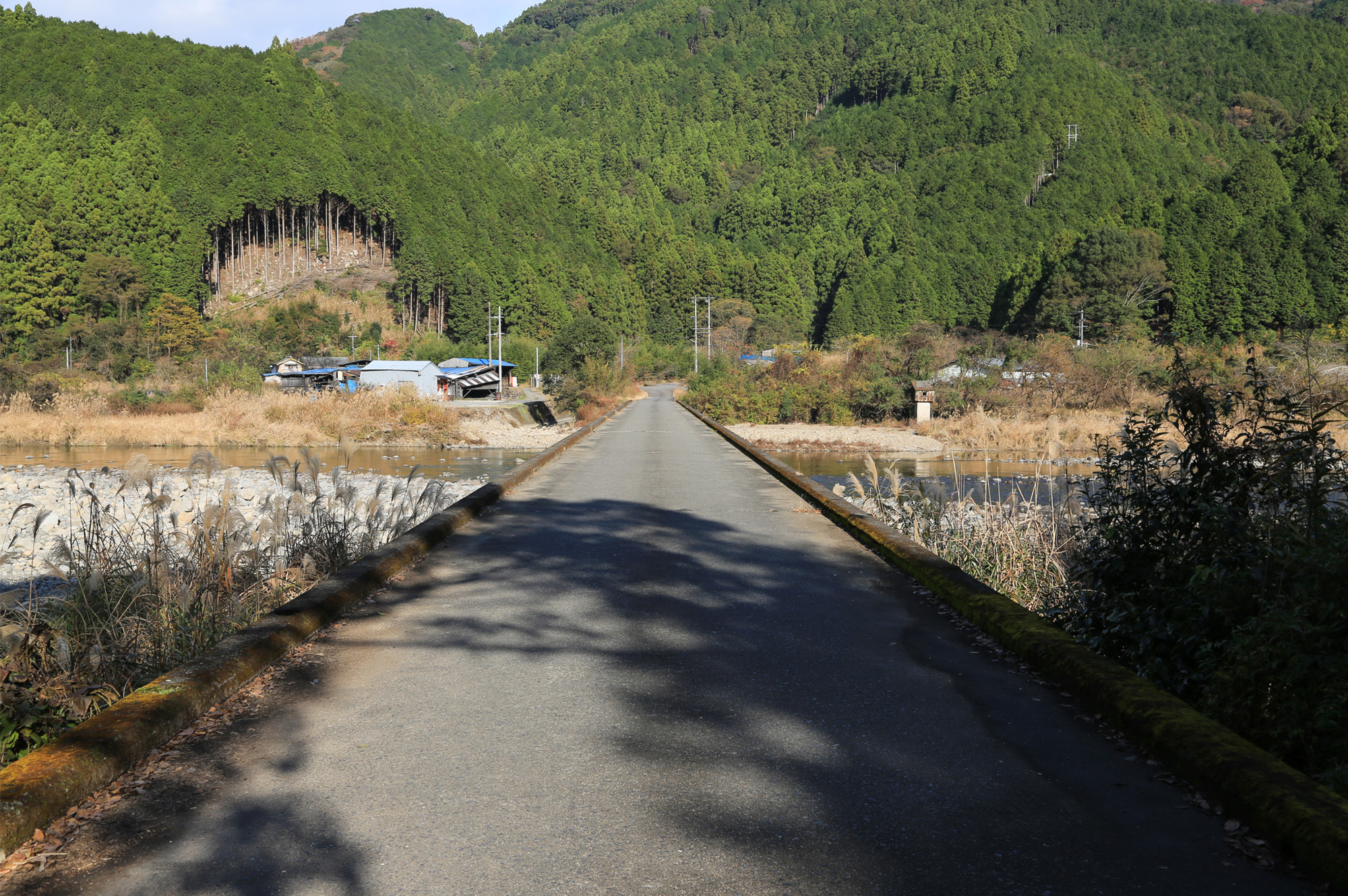 写真：道