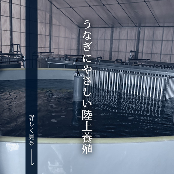 うなぎにやさしい陸上養殖　詳しく見る