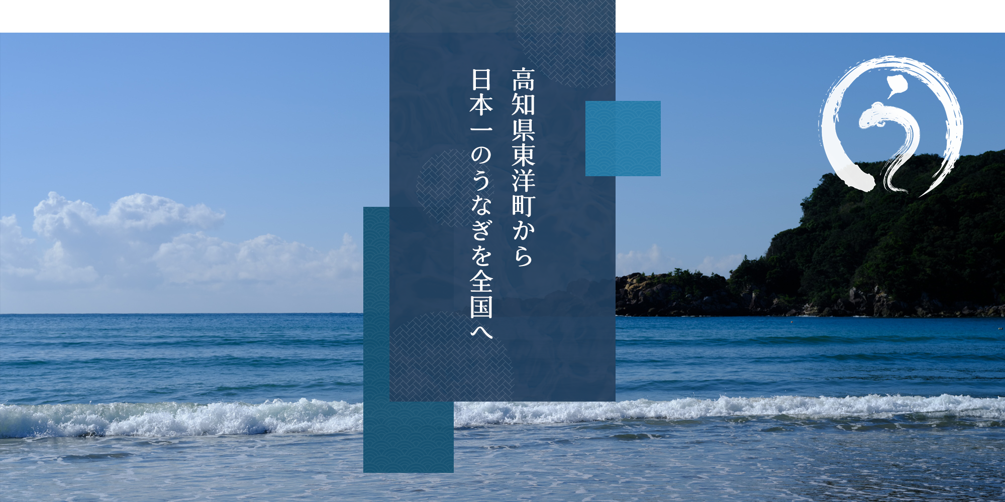 高知県東洋町から日本一のうなぎを全国へ