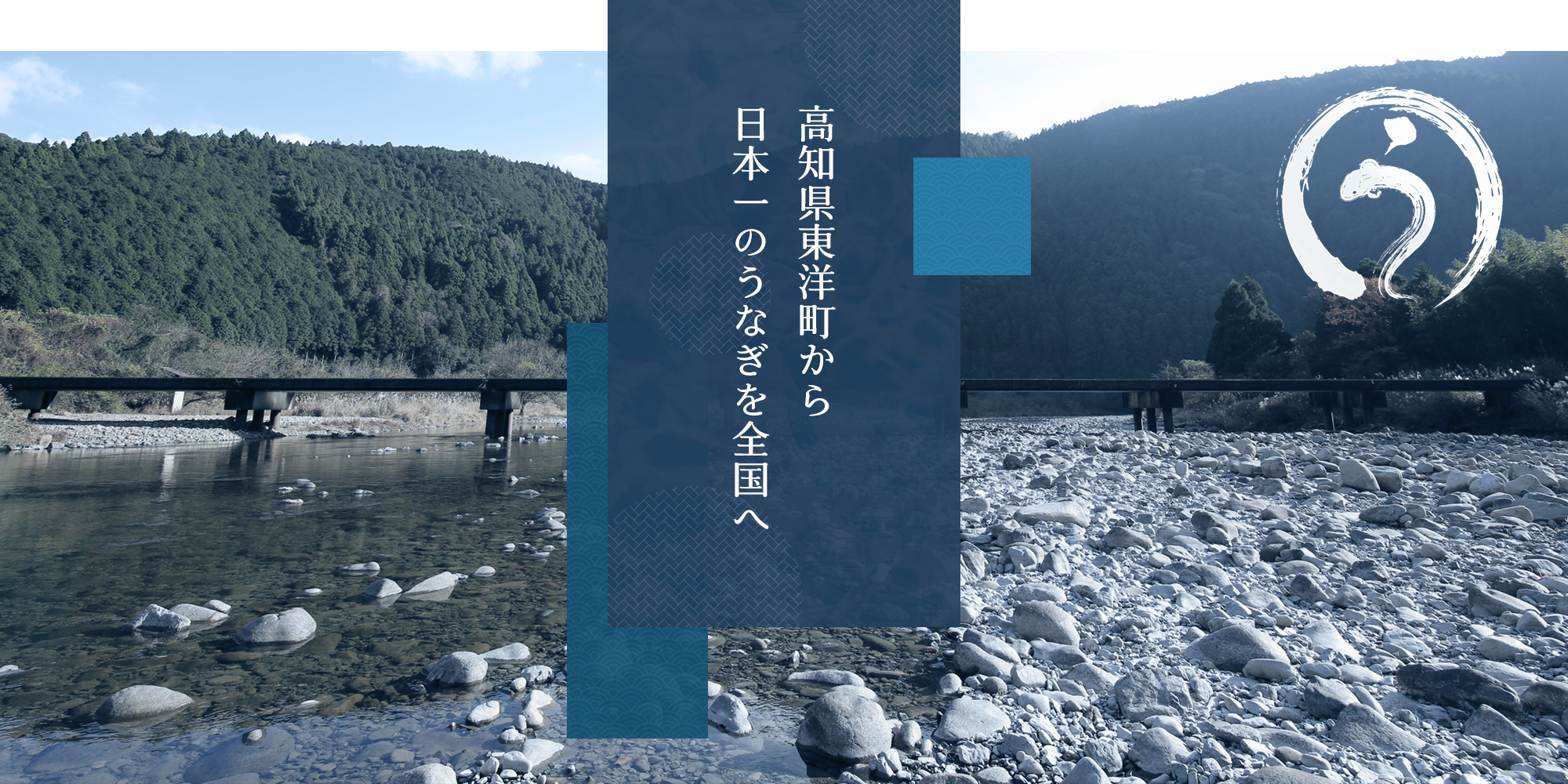 高知県東洋町から日本一のうなぎを全国へ