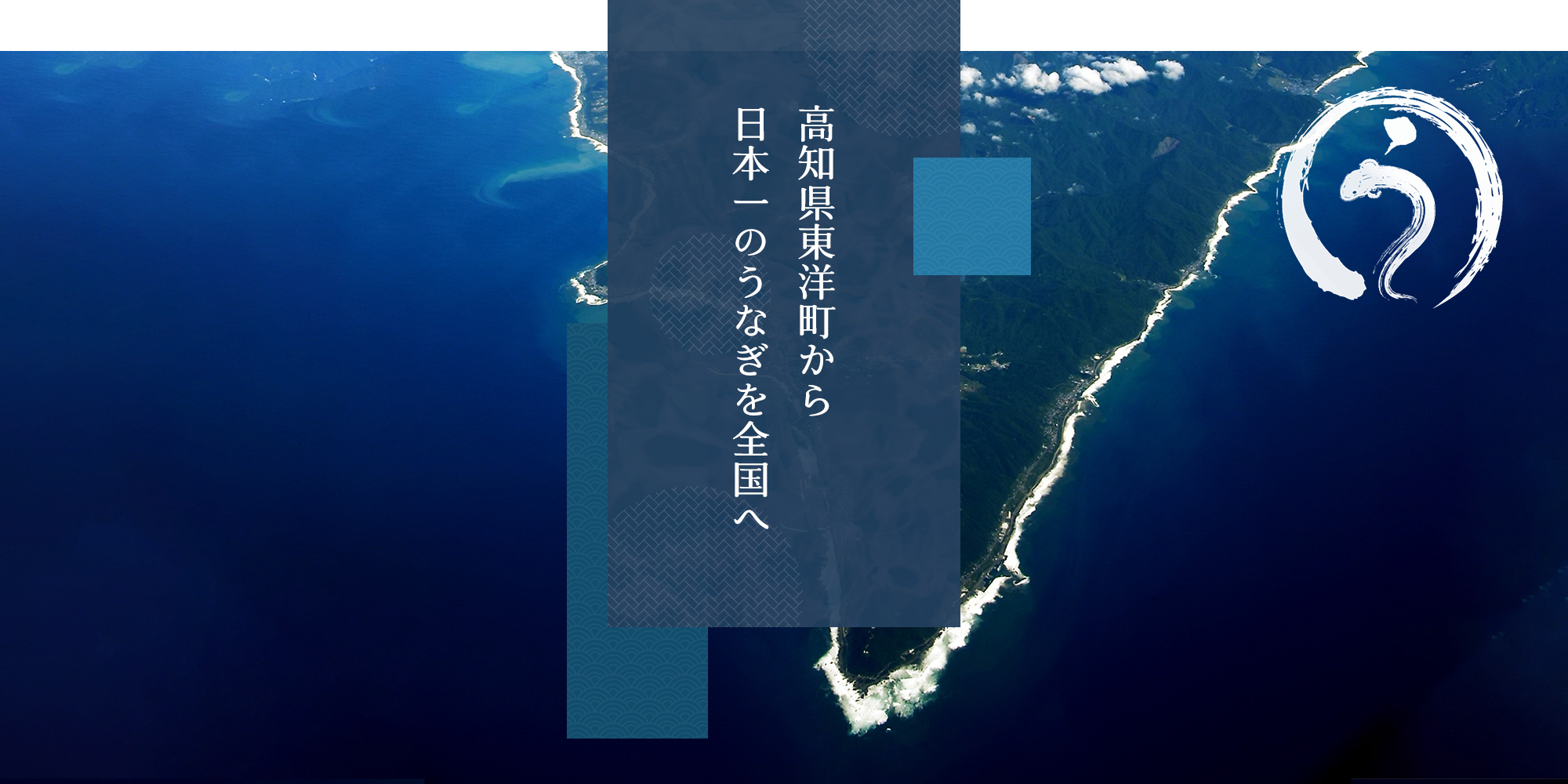 高知県東洋町から日本一のうなぎを全国へ